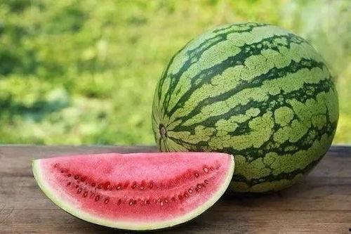 免费吃瓜怎么找,揭秘如何轻松获取免费瓜果盛宴 第2张 免费吃瓜怎么找,揭秘如何轻松获取免费瓜果盛宴 第2张